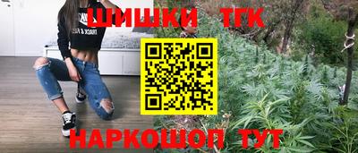 тгк Будённовск